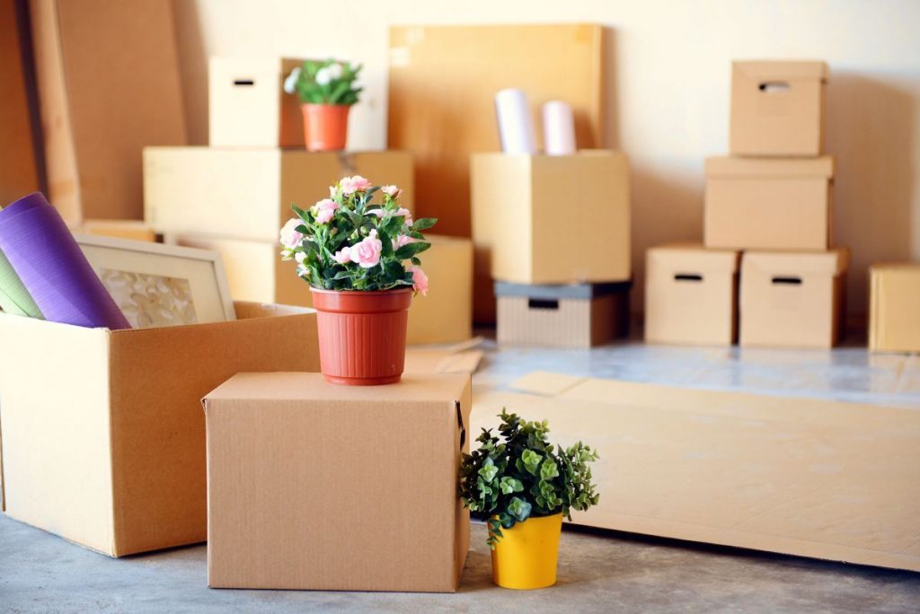 Cardboard removals boxes and house plants ready to load on a lorry | Britannia Alan Cook